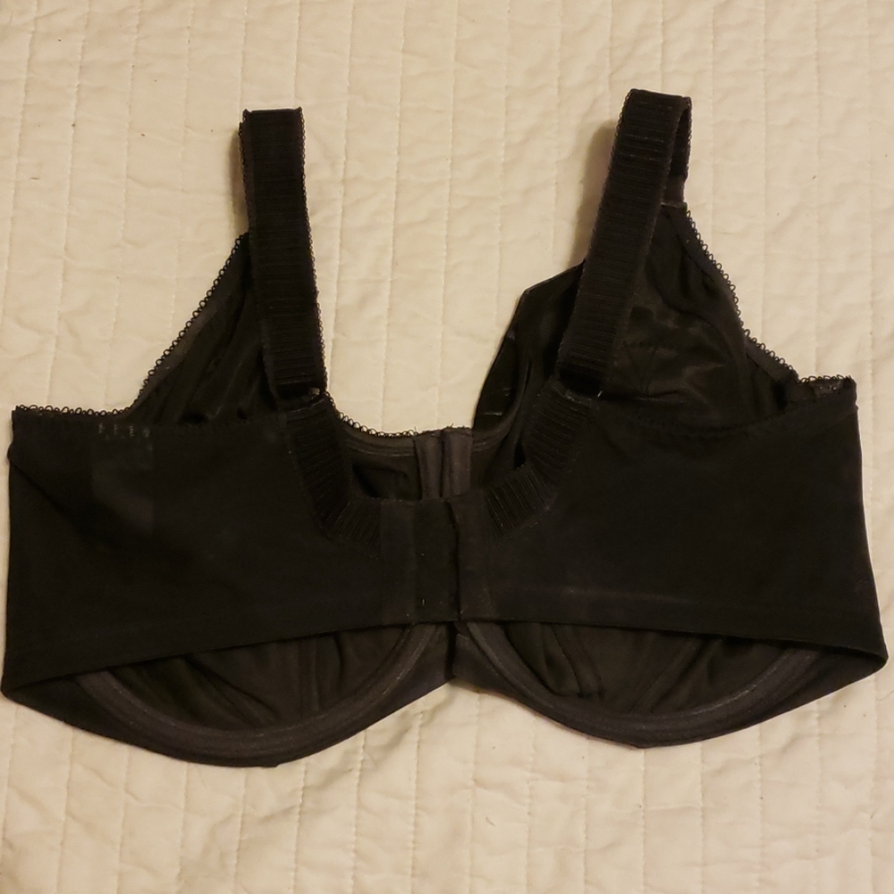 Elomi 36G bra.